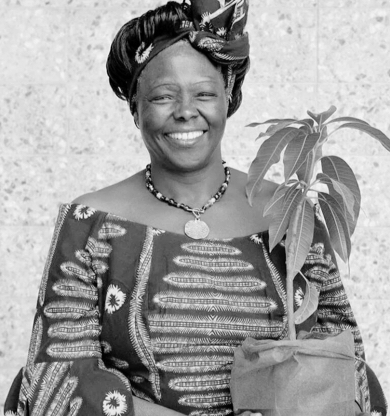 Wangari Muta Maathai, primeira mulher africana a receber o Nobel da Paz